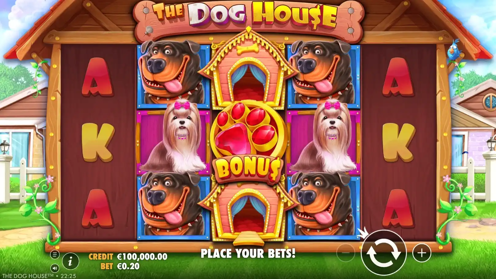 the dog house